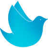default-logo